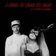 I Feel It Side To Side--Portugal, The Man vs Ariana Grande--DJ Bigg H