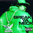 Busta Rhymes & Dmc Mikael - Break Ya Neck (Dj Stanciu Mashup) Radio Edit