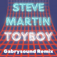 Steve Martin - ToyBoy (Gabrysound Remix)