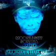 Moonlight Sonata Mashed (Phoenix VS Beethoven Sterling Barnes Remix) - Fissunix & CLT (2011)