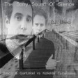 The Sorry Sound Of Silence ( Simon & Garfunkel vs Kollektiv Turnstrasse vs Pig&Dan )