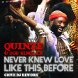 QUINZE & Bob Sinclar - Never knew love like this before (Giove DJ Rework)