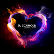 DJ Schmolli - Perfect Love [2012]