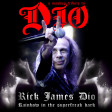 Rainbow in the superfreak dark (Dio VS Rick James) (2010)
