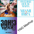 DONTTUST MIAMI G.U.Y (Lady Gaga Vs. Swedish House Mafia & Tinie Tempah Vs. 3OH!3)