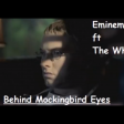 Behind Mockingbird Eyes (Eminem vs The Who)