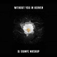 DJ Dumpz - Without You In Heaven (Avicii vs DJ Sammy & Yanou)