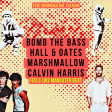 Bomb the Bass vs. Hall & Oates vs. Marshmallow vs. Calvin Harris - Feels like Maneater Beat