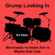 Grump Looking In ( Morcheeba vs Adam Ant vs Mighty Dub Cats )