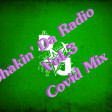 Shakin' Da Radio Vol. 3 | 2020 Covid Mix - D.J. a B.B.I.C. (Don't Judge a Book By It's Cover)