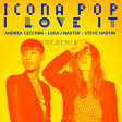 Icona Pop - i love it BOOT_REMIX (Andrea Cecchini - Luka J Master - Steve Martin)