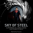 Sky of Steel (Adele VS Superman) (2013)