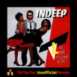 Indeep - Last Night A DJ Saved My Life (TicTacTec Unofficial Remix)