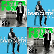 David Guetta vs. Peter Fox - Haus am See (Titanium)