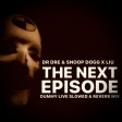 Dr Dre & Snoop Dogg x Liu - The Next Episode (Dummy Live Slowed & Reverb Edit)
