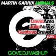 Martin Garrix vs. Julio Navas & David Amo - Animals Raw (Giove DJ Mashup)