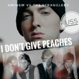 USS - I don't give peaches (Eminem VS The Stranglers)