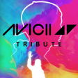 Avicii Tribute (Djs From Mars Megamashup)