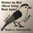 Washed Up Bird (Never Going Black Again) (Beatles vs. Fleetwood Mac)