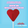 David Guetta VS Robin S - Show me What love can do (Manuel Rizzo DeeJay 2022 Mashup)