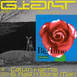 Calvin Harris ft Rag n Bone Man vs Peter Gabriel - Big giant time (BaBa Gigantempo Mashup)