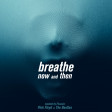 Breathe now and then (Pink Floyd vs The Beatles)