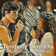 DJ Useo - Tenderly Señorita ( Shawn Mendes, Camila Cabello vs Soulstice )