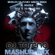 MEDUZA VS FUNKY GREEN DOGS ft. HOZIER - TELL IT TO MY HEART (TORENA MASHUP)
