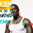 Akon Feat Stat Quo - Smack That (Svandaus Remix)