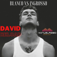 Blanco VS Ingrosso - David Reload (Manuel Rizzo DeeJay 2021 Mashup)