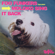 Foo Funkers  feat. Moloko - Sing It Back (ASIL Mashup)