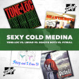 017 Dj. Surda - Sexy Cold Medina (Tone-Lōc, LMFAO, Beastie Boys & Pitbull)