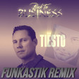 Tiesto - The Business (Desy & Funkastik remix)