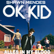 Shawn Mendes vs. Ok Kid - Alles in my Blood