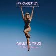 Miley Cyrus - Flowers (DJ Roby J Remix)