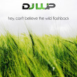 Nora En Pure vs. Various Artists - Hey, Can't Believe The Wild Flashback (LUP Mashup)