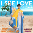 Rise / I See Love Mashup of Lost Frequencies, Jonas Blue & Joe Jonas!