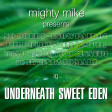 Underneath sweet Eden (Snow Patrol / No Doubt / Ludovico Einaudi / The Temper Trap) (2011)