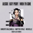 Alesso, Katy Perry - When I'm Gone (Umberto Balzanelli - Matteo Vitale - Michelle Bootleg Remix)