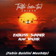 Alan Walker & Ariete - Tutto Summer (con te)[Fabio Baldini MashUp]