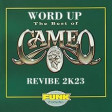 Cameo - Word Up REVIBE 2K23- ANDREA CECCHINI  - STEVE MARTIN - MAXI CIONI