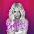 Satisfaction Bitch (Britney Spears vs. Benny Benassi)