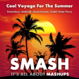 Cool Voyage For The Summer (Desireless, AndreiD vs. Demi Lovato vs. Zedd, Katy Perry)