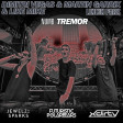 Dimitri Vegas & Like Mike vs Martin Garrix vs Linkin Park - Numb Tremor (XDirTY Mashup)