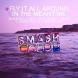 Fly It All Around In the Meantime (Spacehog, Cage the Elephant, RHCP, Lenny Kravitz, Washed Out)