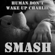 Human Don't Wake Up Charlie (The Killers vs Chris Brown vs Coldplay)