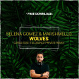 Marshmello ft. Selena Gomez - Wolves (Carlo Esse Italodance Remix)