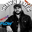 SHAWN JAMES - Flow (DJ WILS ! remix)