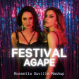 Paola&Chiara ft. Elodie vs Vintage Culture - FESTIVAL x AGAPE (Rossella Duville Mashup)