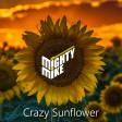 Crazy sunflower (Fine Young Cannibals / Post Malone) (2019)